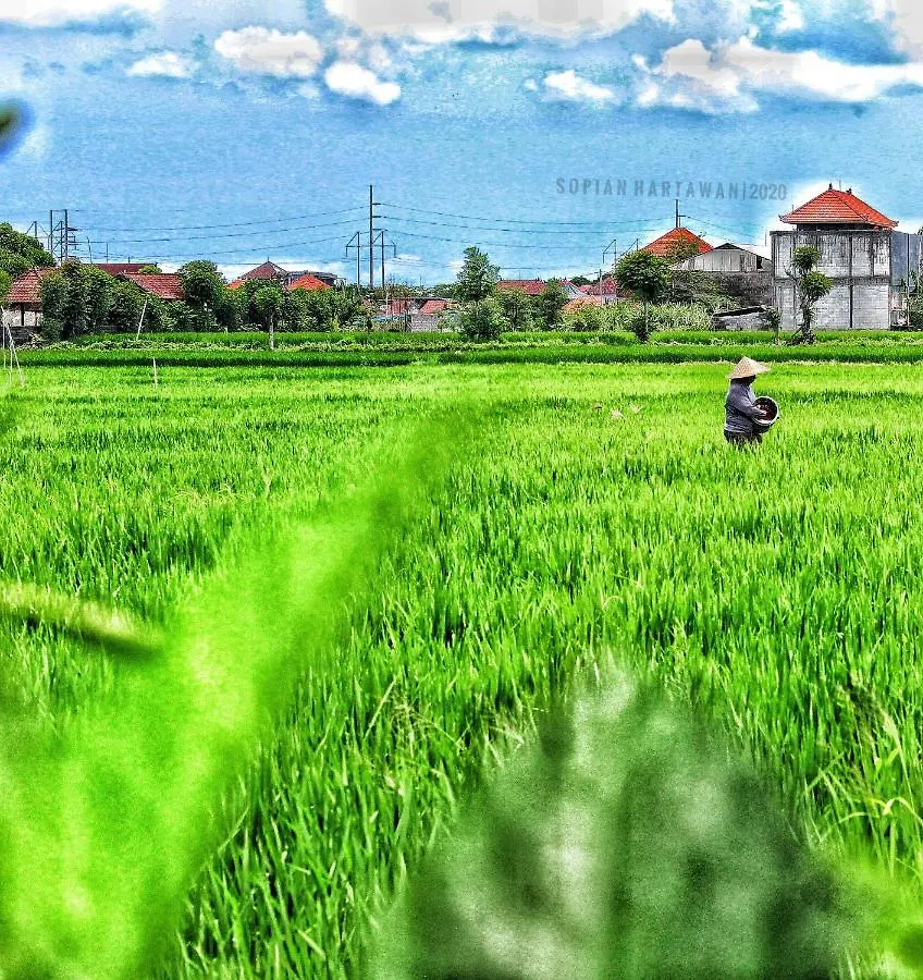 **  Bali Eco Living Yoga Healing Meditation And Retreat Center Hostel Denpasar  Indonesia
